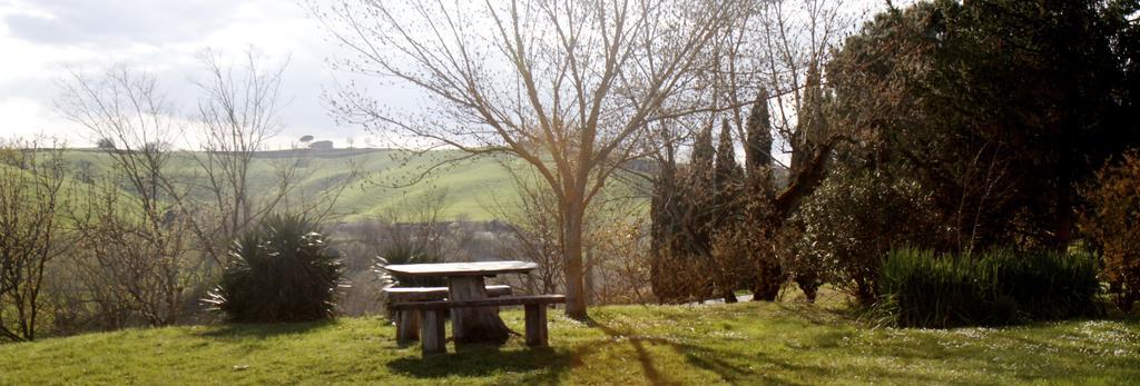 Agriturismo Castello Saltemnano Buonconvento Zewnętrze zdjęcie