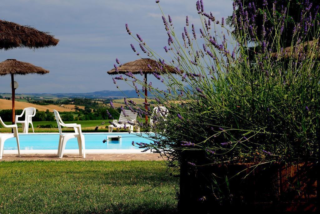 Agriturismo Castello Saltemnano Buonconvento Zewnętrze zdjęcie