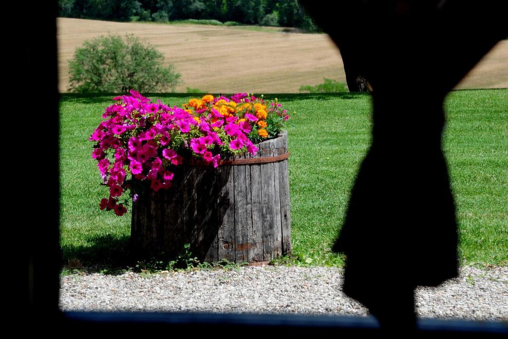 Agriturismo Castello Saltemnano Buonconvento Pokój zdjęcie