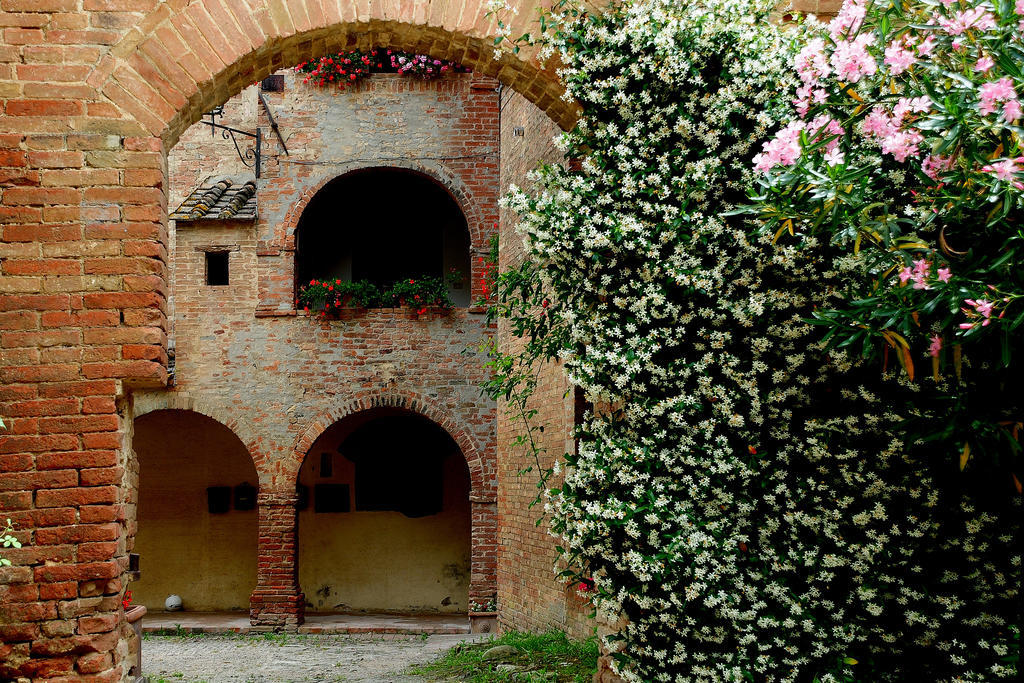 Agriturismo Castello Saltemnano Buonconvento Zewnętrze zdjęcie