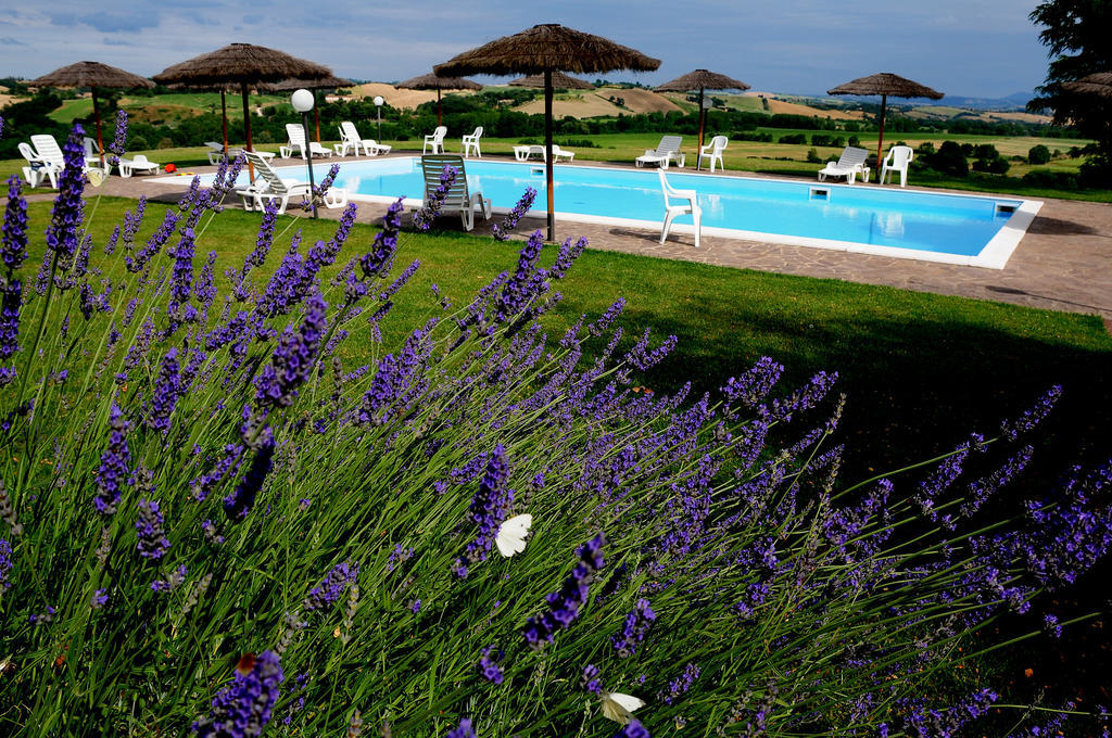 Agriturismo Castello Saltemnano Buonconvento Zewnętrze zdjęcie