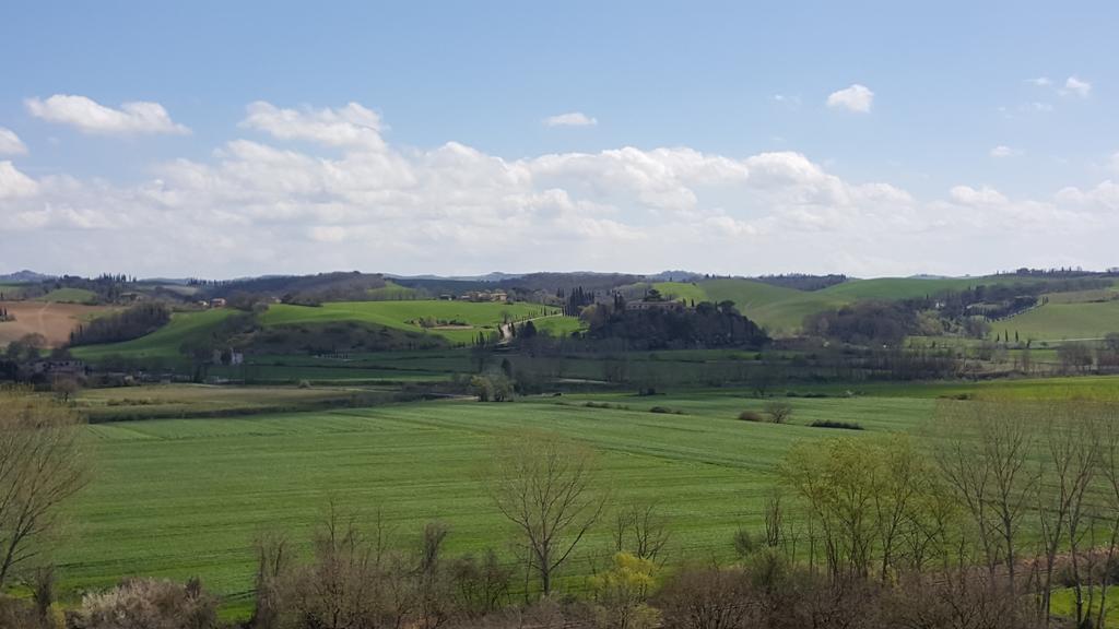 Agriturismo Castello Saltemnano Buonconvento Zewnętrze zdjęcie