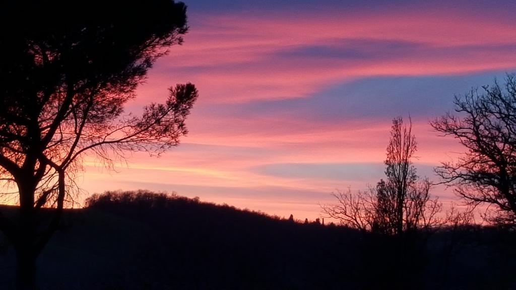 Agriturismo Castello Saltemnano Buonconvento Zewnętrze zdjęcie