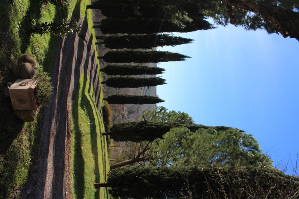 Agriturismo Castello Saltemnano Buonconvento Zewnętrze zdjęcie
